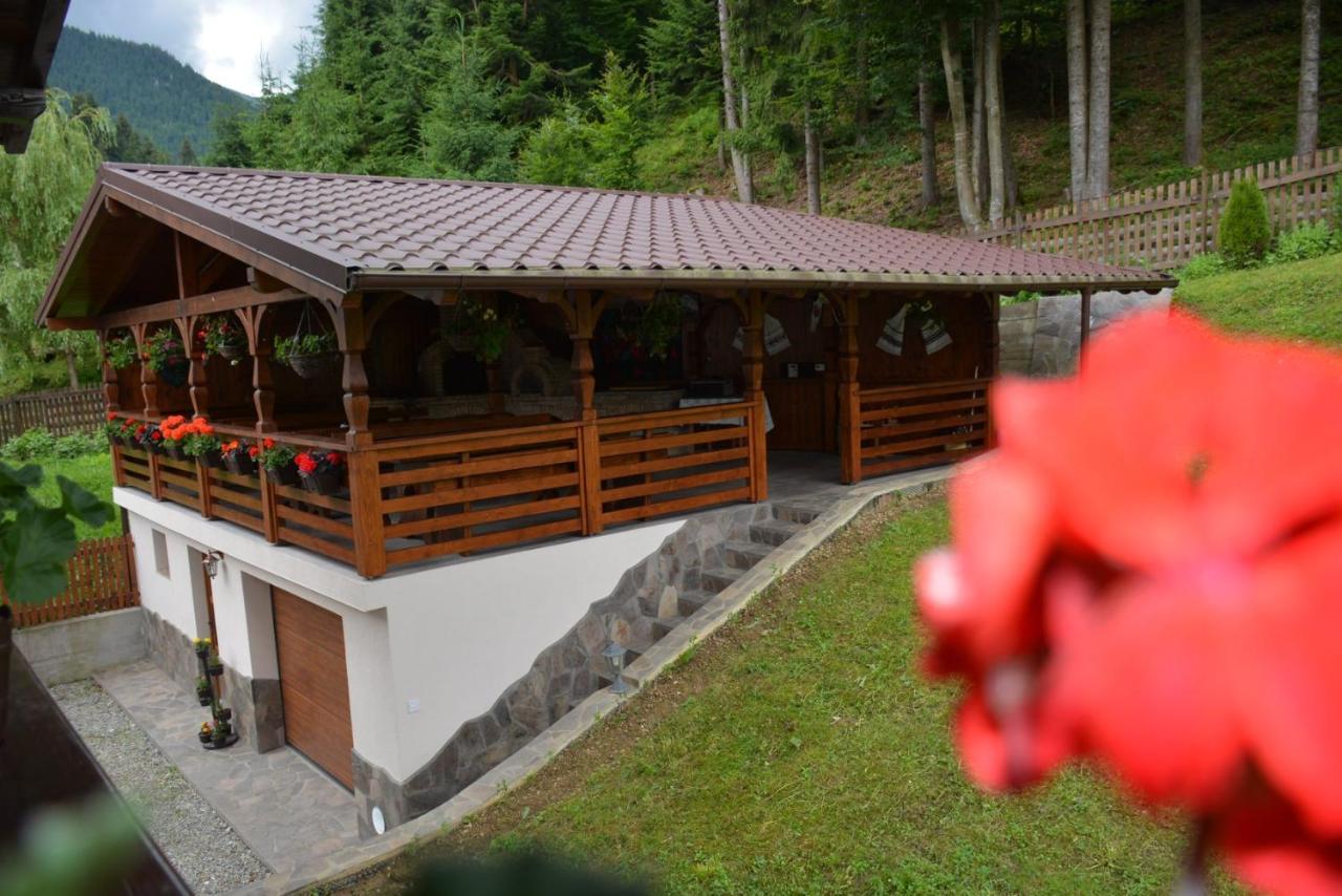 Hotel Cabana Cascada Cailor Borşa Exterior foto