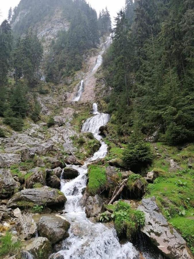 Hotel Cabana Cascada Cailor Borşa Exterior foto